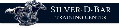 Silver-D-Bar Training Center Inc.